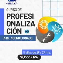 Curso de profesionalización clima